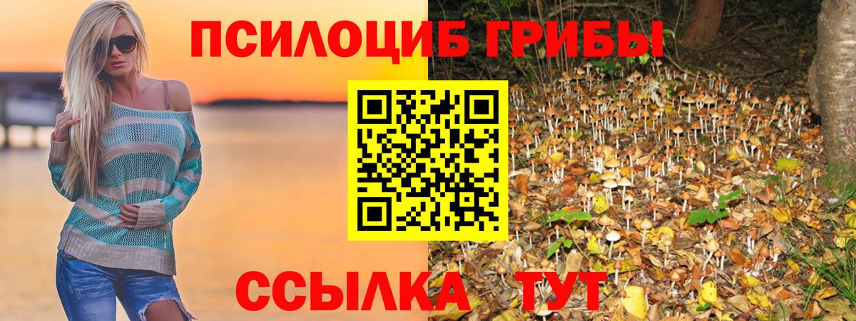Псилоцибиновые грибы прущие грибы  Вход с VPN  Сертолово 