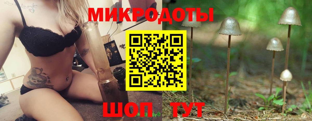 Псилоцибиновые грибы прущие грибы Сертолово